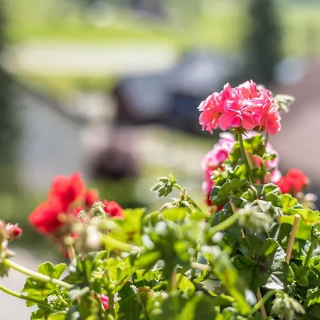 Apartment Waldesruh Titisee-Neustadt