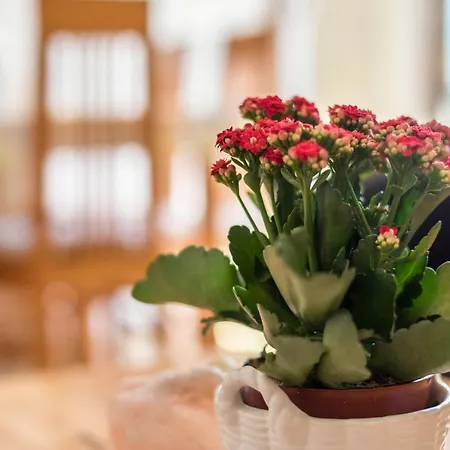 Waldesruh Apartamento *