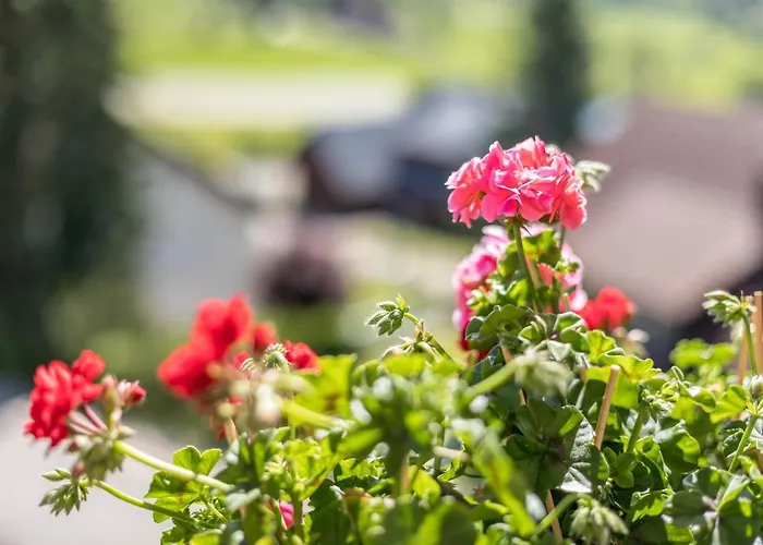 アパート Waldesruh ティティゼー・ノイシュタット