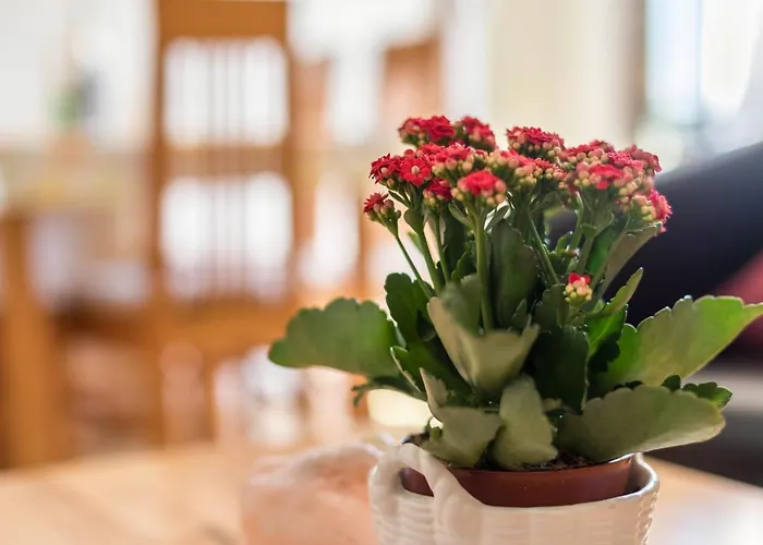 Waldesruh アパート *